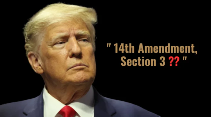 14th Amendment to the U.S. Constitution